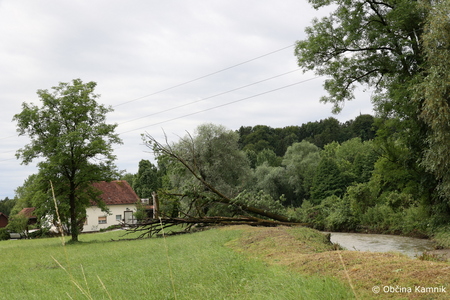 Neurje_Občina Kamnik (1)